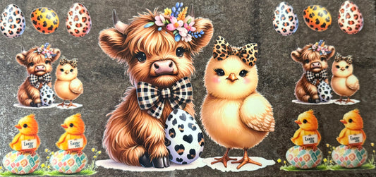 Chickie and Highland Cow