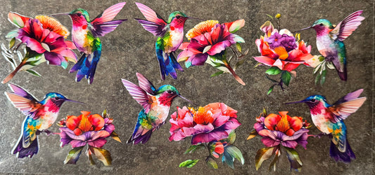Humming Birds