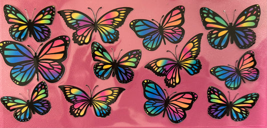 Multi-Color 🦋